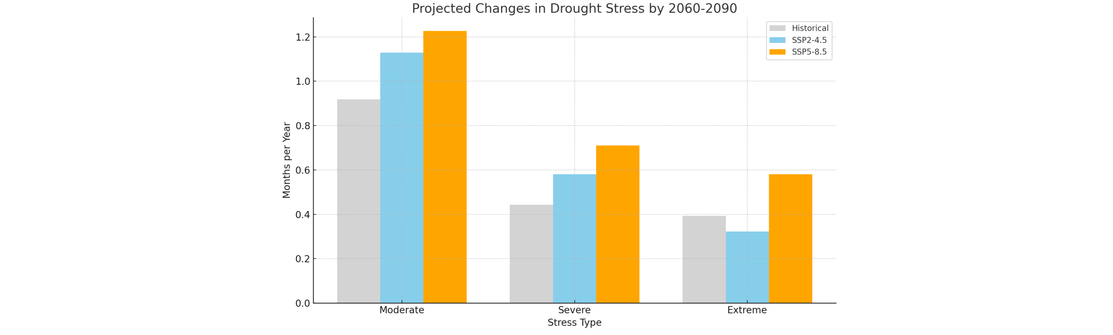 API SPI Case Study Image